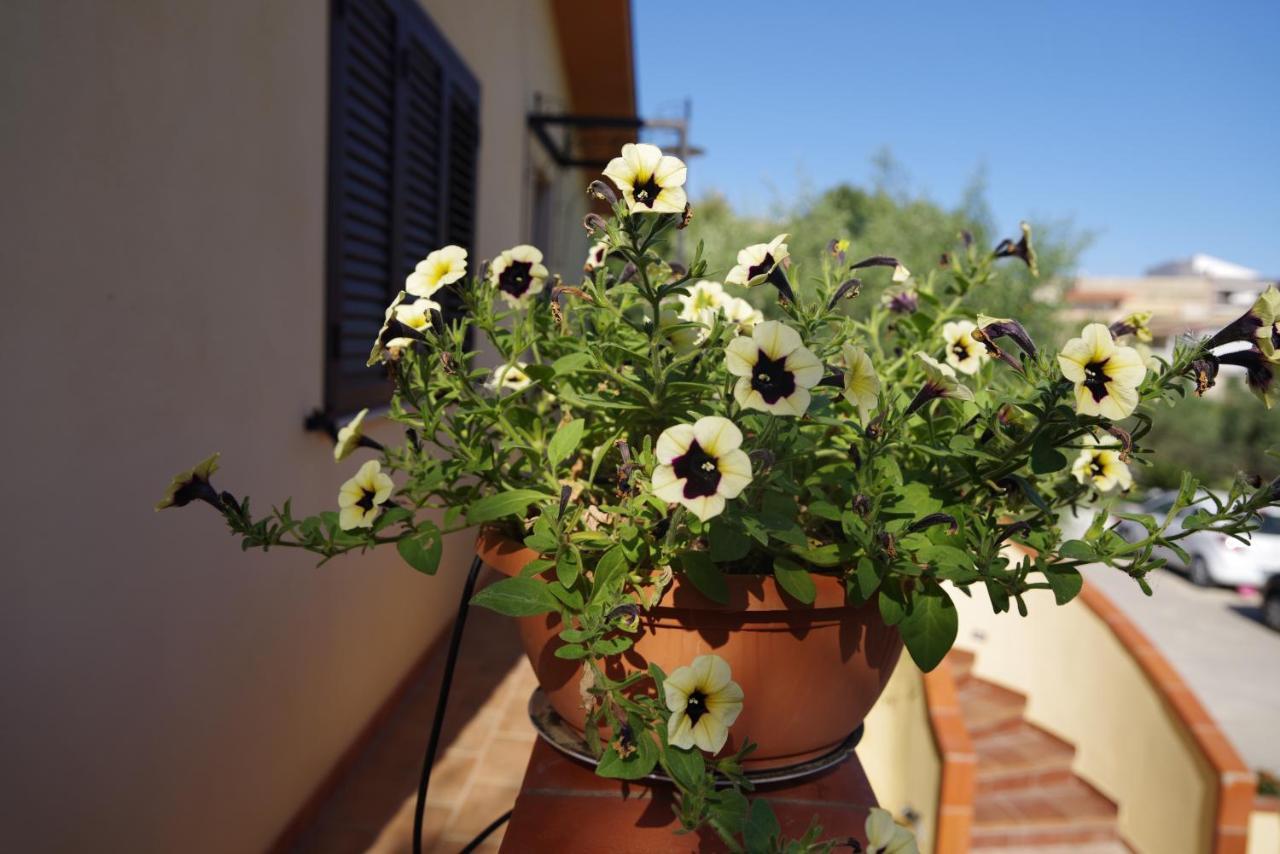 Balconcino Sugli Ulivi Bed and Breakfast Noto Eksteriør billede